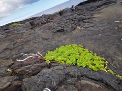 -夏威夷火山国家公园