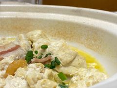 石锅豆腐-高佳庄·舟山海鲜(海景旗舰店)