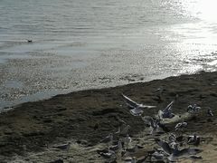 -西台吉乃尔湖