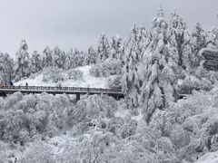 -瓦屋山景区