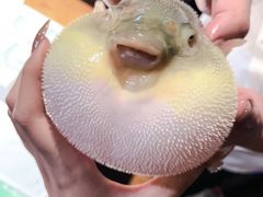 -桥岚·巷子鲜河豚鱼(专门店)