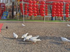 -1982农场