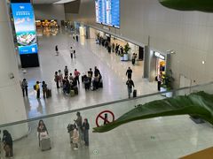 -青岛胶东国际机场