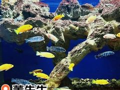 -威海华夏城景区