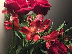 -杭州街角花屋花店(闻堰店)