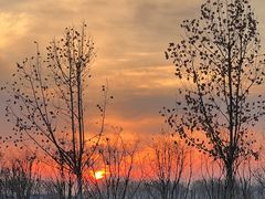 -肯德基(临泉大润发店)