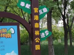 -官港森林公园