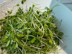 -潇湘府•湘菜领军品牌(望京店)