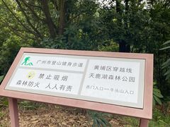 -天鹿湖森林公园