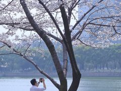 -西北湖绿化广场