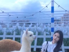 -Blue Concept Cafe&Farm·關於藍
