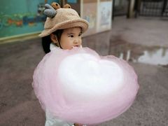 -杭州Hello Kitty乐园
