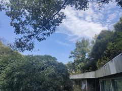 -天怡·鱼工厂(梅溪湖店)
