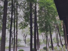 -太阳岛度假酒店