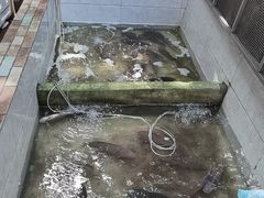 -渔遭殃鱼馆(黄桷垭店)