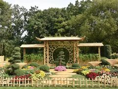 -上海共青森林公园