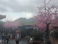 -珠海圆明新园