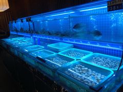 -蟹将军·松叶蟹和牛日料放题自助(K11店)