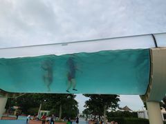 -秦皇岛乐岛海洋王国