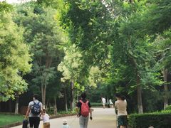 -塘沽森林公园