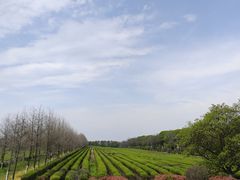 -凤凰沟景区