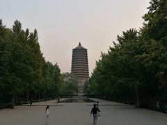 -玲珑塔公园