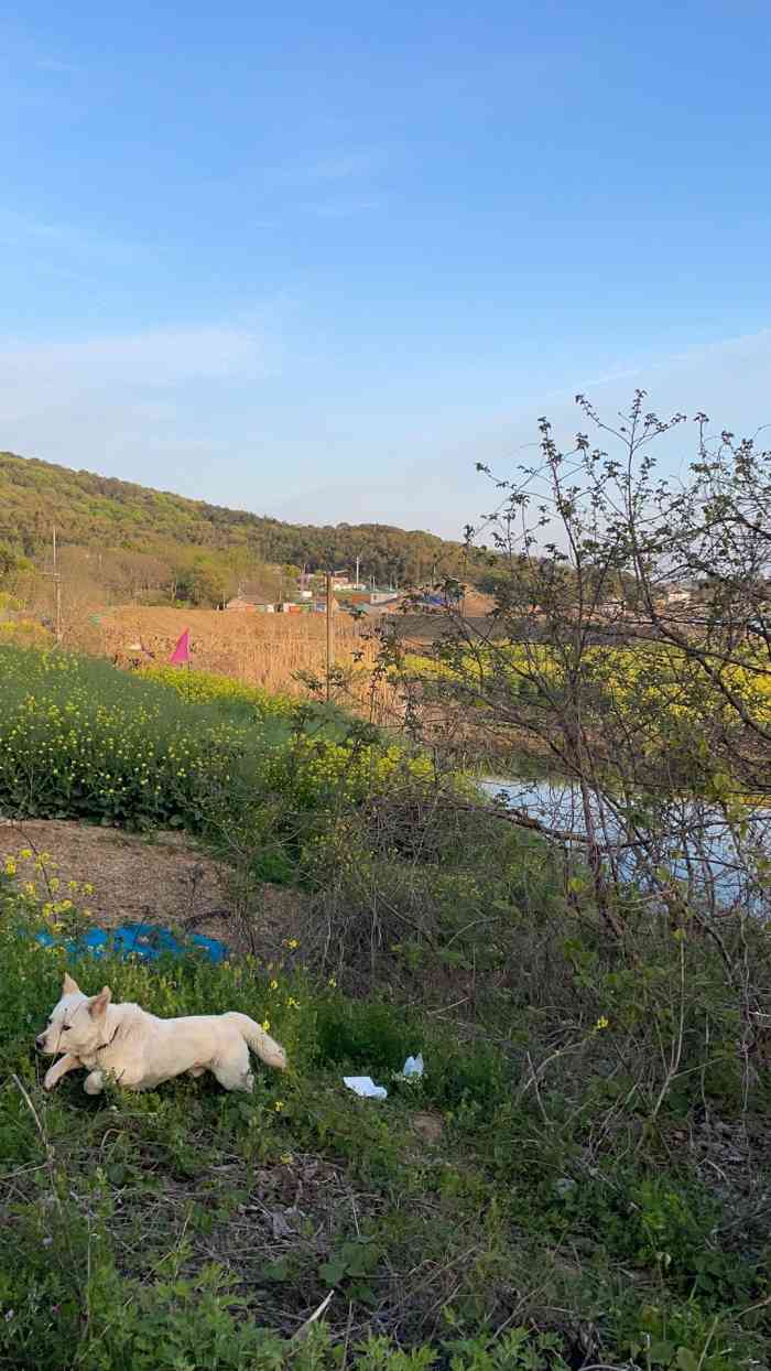 亮河湾山庄-"最近几乎每周末都会想去,即使地方挺大,小.