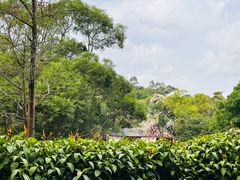 -深圳国际园林花卉博览园