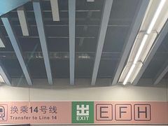 -大望路(地铁站)