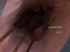 -秦皇二林羊肉串(秦皇小巷店)