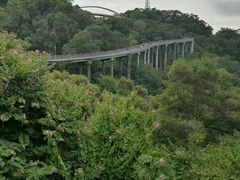 -金鸡山公园