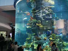-福州罗源湾海洋世界旅游区