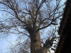 -胡氏古民居建筑