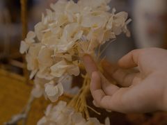 -知物癖(牛王庙店)