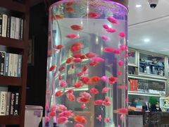 -上島咖啡(安亭店)