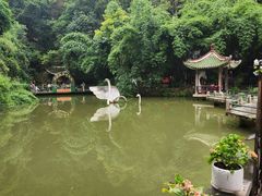 -黔灵山公园