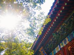 -香山公园