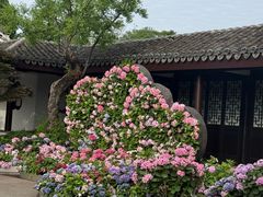 -无锡蠡湖国家湿地公园-蠡园