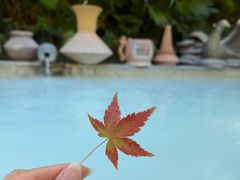 -凤翔首邑温泉度假村