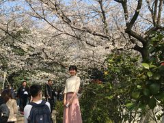 -武汉大学-樱园