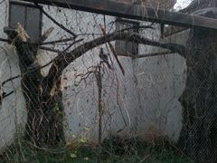 android_upload_pic-南昌动物园