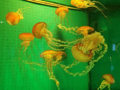 -厦门海底世界