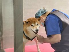 -宠福鑫康馨动物医院·骨科·眼科