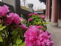 -钱王祠