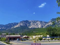 -禅宗少林·音乐大典