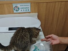 -瑞派宠物医院·24h·骨外科·皮肤科·全科宠物医疗转诊中心(沈阳浑南院)