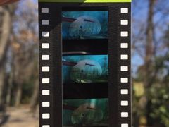 -三鹰之森吉卜力美术馆