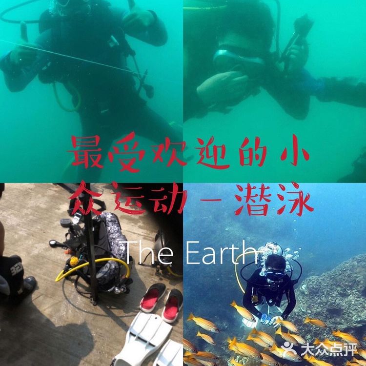 最受欢迎的潜水运动