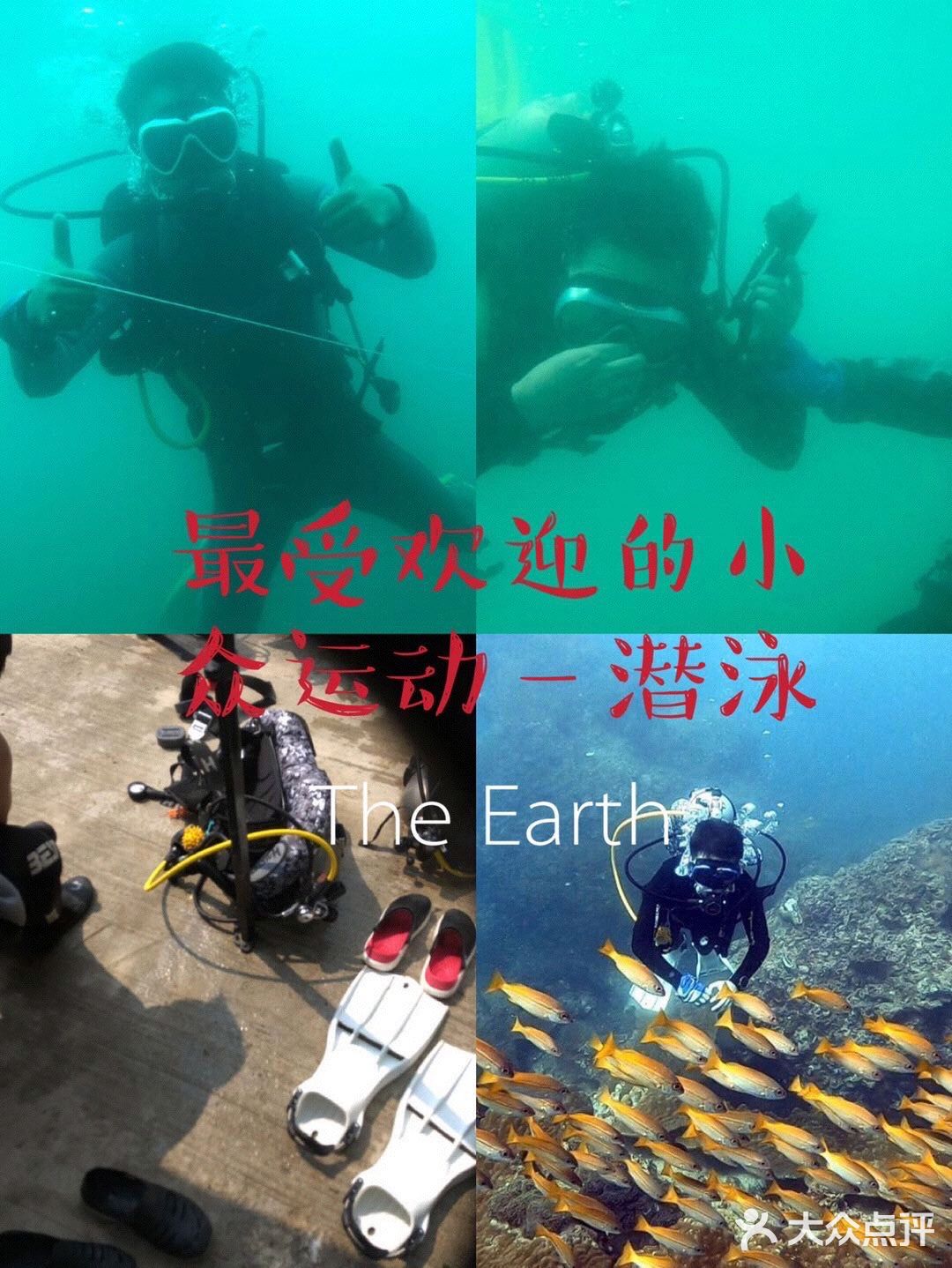 最受欢迎的潜水运动