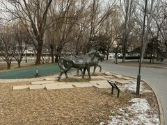 -元大都城垣遗址公园